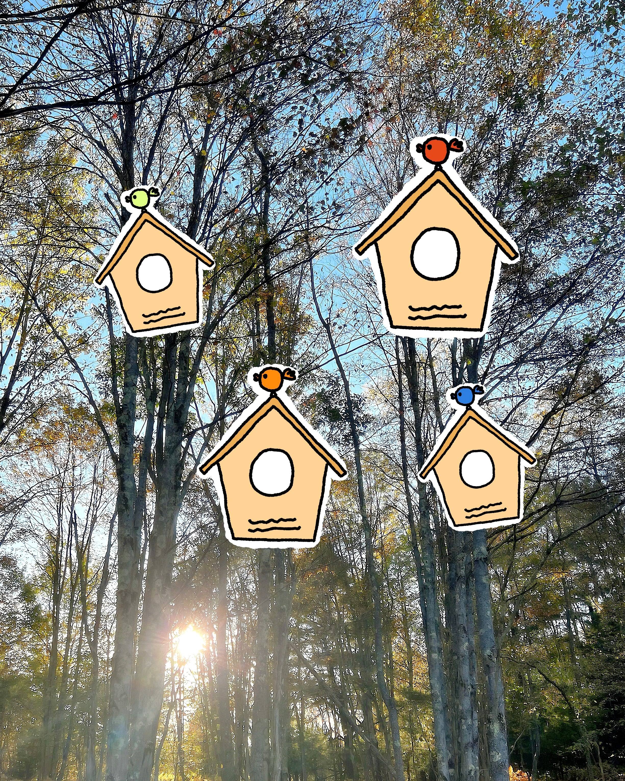 Birdhouse in the Meadow