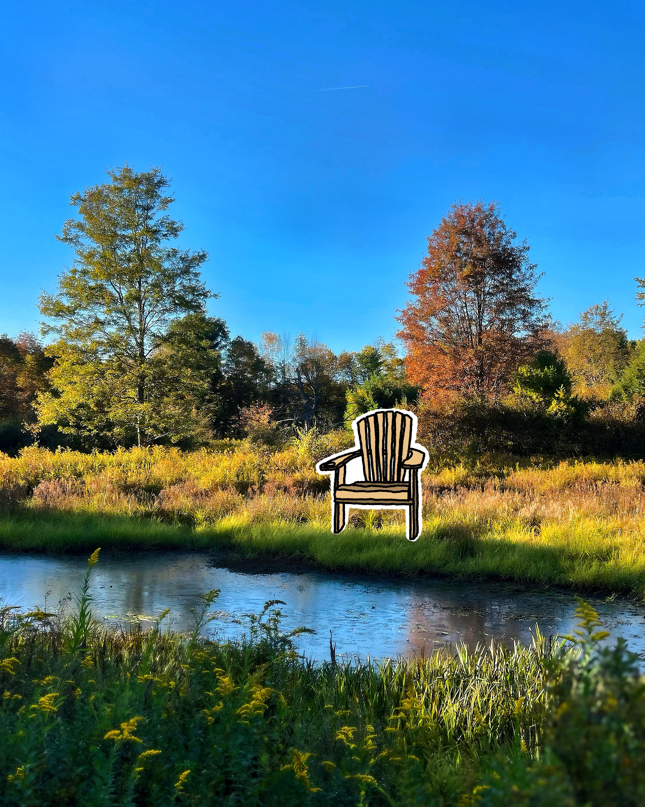 Chair Beneath the Trees
