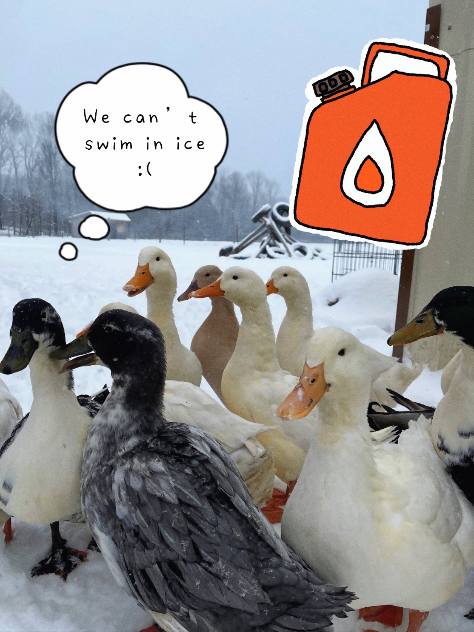 Fuel for Winter Water