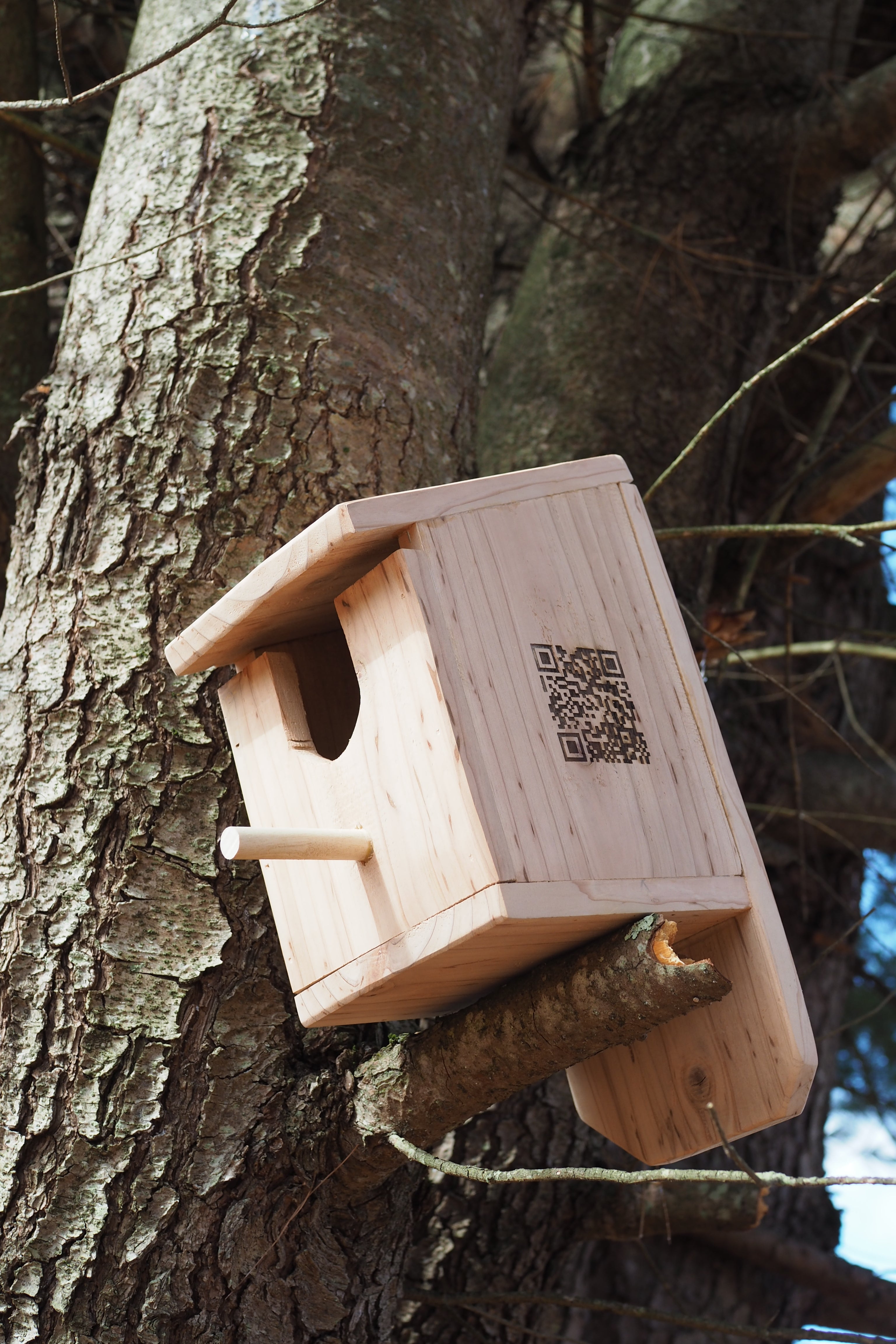 Birdhouse in the Meadow